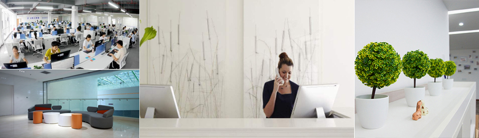 网博士是一家技术型的网络公司，一支专业的网站技术团队，一直专注网站技术领域，在未来我们将永不停步地研究网站开发技术